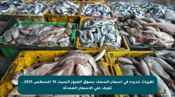 تغيرات جديدة في أسعار السمك بسوق العبور السبت 16 أغسطس 2025.. تعرف على الأسعار المحدثة